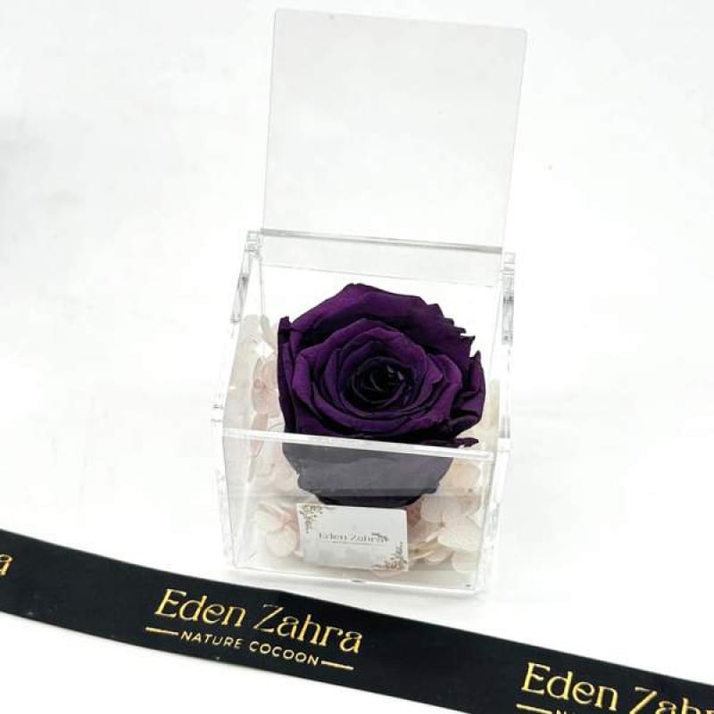 Pure Purple